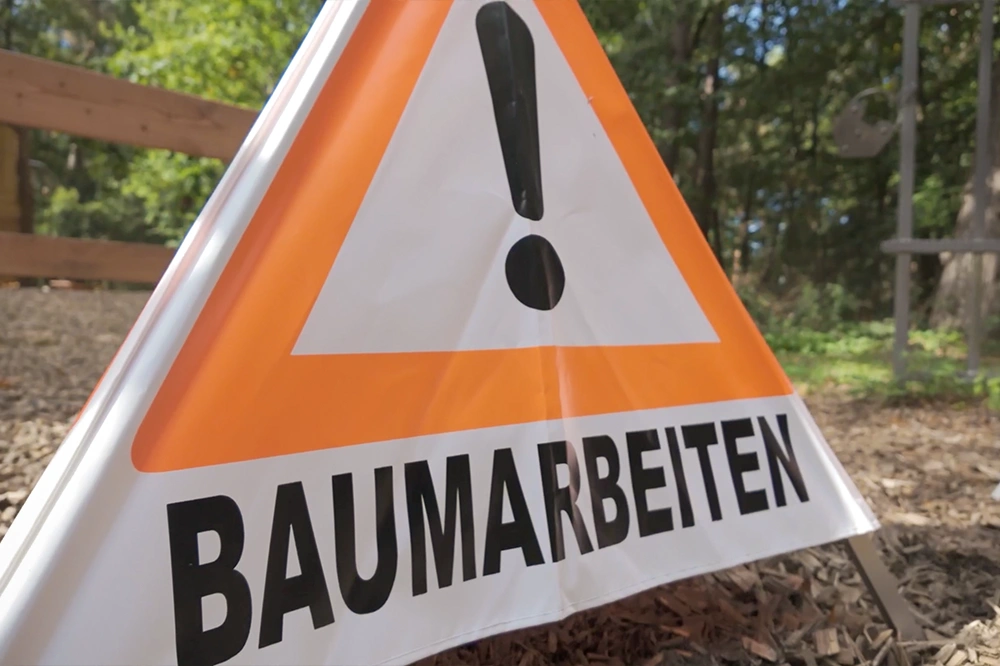 Forst-und-Baumdienst-Pels_Baumfaellung_Galerie_11