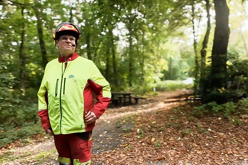 Forst-und-Baumdienst-Pels_Baumfaellung_Galerie_2