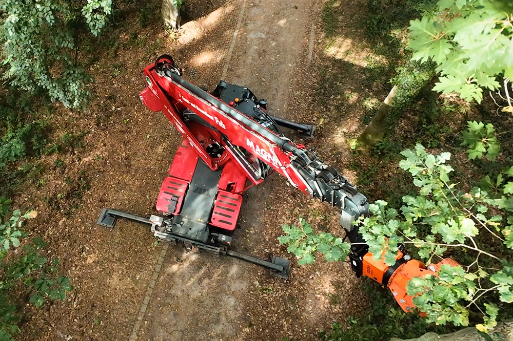 Forst-und-Baumdienst-Pels_Baumfaellung_Galerie_3