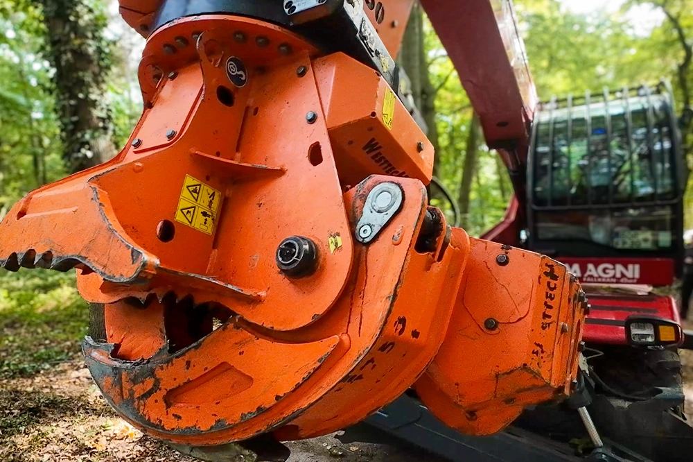 Forst-und-Baumdienst-Pels_Baumfaellung_Galerie_4