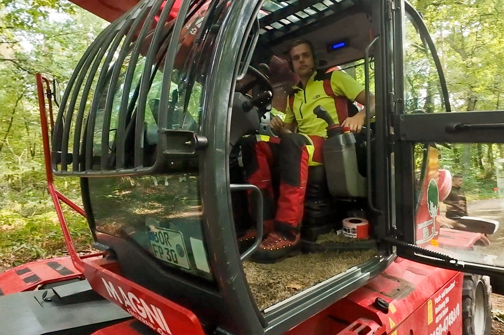 Forst-und-Baumdienst-Pels_Baumpflege_Galerie_5