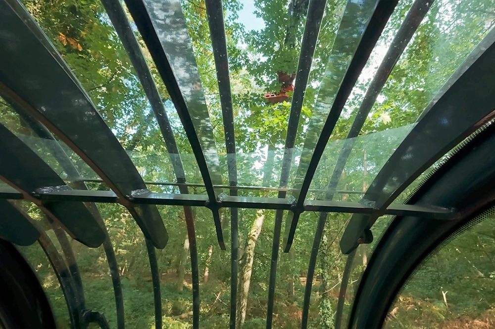 Forst-und-Baumdienst-Pels_Baumpflege_Galerie_7